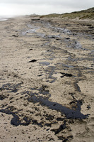 Rena Oil Spill Disaster, Tauranga, NZ