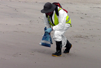Rena Oil Spill Disaster, Tauranga, NZ