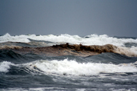 Rena Oil Spill Disaster, Tauranga, NZ