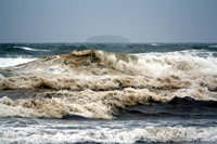 Rena Oil Spill Disaster, Tauranga, NZ