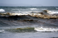 Rena Oil Spill Disaster, Tauranga, NZ