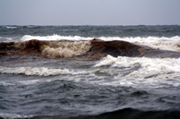 Rena Oil Spill Disaster, Tauranga, NZ