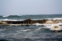 Rena Oil Spill Disaster, Tauranga, NZ
