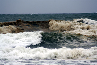 Rena Oil Spill Disaster, Tauranga, NZ