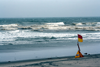 Rena Oil Spill Disaster, Tauranga, NZ