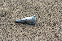 Rena Oil Spill Disaster, Tauranga, NZ