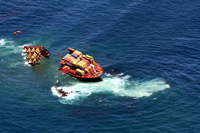 Rena Oil Spill Disaster, Tauranga, NZ