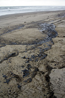 Rena Oil Spill Disaster, Tauranga, NZ