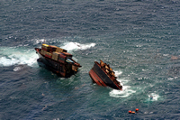 Rena Oil Spill Disaster, Tauranga, NZ