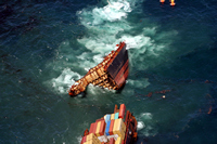 Rena Oil Spill Disaster, Tauranga, NZ