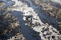 Rena Oil Spill Disaster, Tauranga, NZ