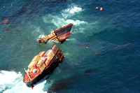 Rena Oil Spill Disaster, Tauranga, NZ