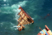 Rena Oil Spill Disaster, Tauranga, NZ