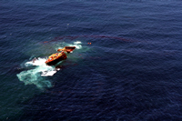 Rena Oil Spill Disaster, Tauranga, NZ
