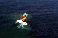 Rena Oil Spill Disaster, Tauranga, NZ