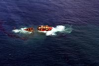 Rena Oil Spill Disaster, Tauranga, NZ