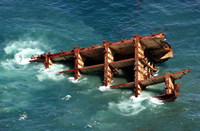 Rena Oil Spill Disaster, Tauranga, NZ