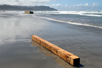 Rena Oil Spill Disaster, Tauranga, NZ