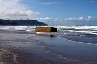 Rena Oil Spill Disaster, Tauranga, NZ
