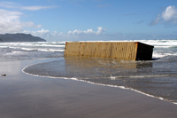 Rena Oil Spill Disaster, Tauranga, NZ