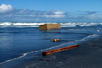 Rena Oil Spill Disaster, Tauranga, NZ