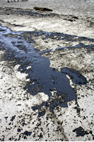 Rena Oil Spill Disaster, Tauranga, NZ