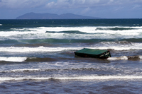 Rena Oil Spill Disaster, Tauranga, NZ