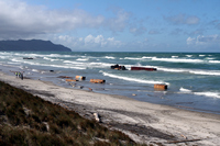Rena Oil Spill Disaster, Tauranga, NZ
