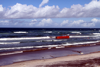 Rena Oil Spill Disaster, Tauranga, NZ