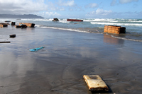 Rena Oil Spill Disaster, Tauranga, NZ