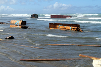 Rena Oil Spill Disaster, Tauranga, NZ