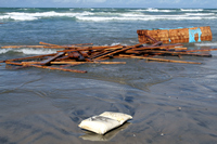 Rena Oil Spill Disaster, Tauranga, NZ