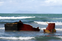 Rena Oil Spill Disaster, Tauranga, NZ