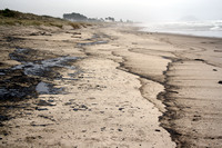 Rena Oil Spill Disaster, Tauranga, NZ