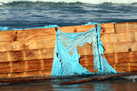 Rena Oil Spill Disaster, Tauranga, NZ