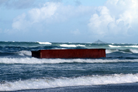 Rena Oil Spill Disaster, Tauranga, NZ