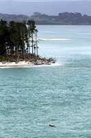 Rena Oil Spill Disaster, Tauranga, NZ