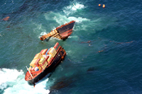 Rena Oil Spill Disaster, Tauranga, NZ