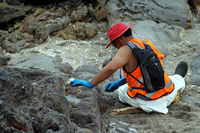 Rena Oil Spill Disaster, Tauranga, NZ