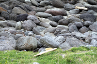 Rena Oil Spill Disaster, Tauranga, NZ