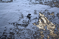 Rena Oil Spill Disaster, Tauranga, NZ