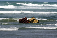 Rena Oil Spill Disaster, Tauranga, NZ