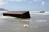 Rena Oil Spill Disaster, Tauranga, NZ