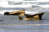 Rena Oil Spill Disaster, Tauranga, NZ