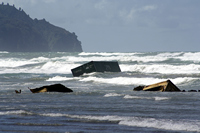 Rena Oil Spill Disaster, Tauranga, NZ
