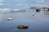 Rena Oil Spill Disaster, Tauranga, NZ