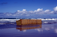 Rena Oil Spill Disaster, Tauranga, NZ