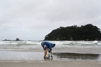 Rena Oil Spill Disaster, Tauranga, NZ