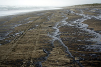 Rena Oil Spill Disaster, Tauranga, NZ