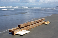 Rena Oil Spill Disaster, Tauranga, NZ